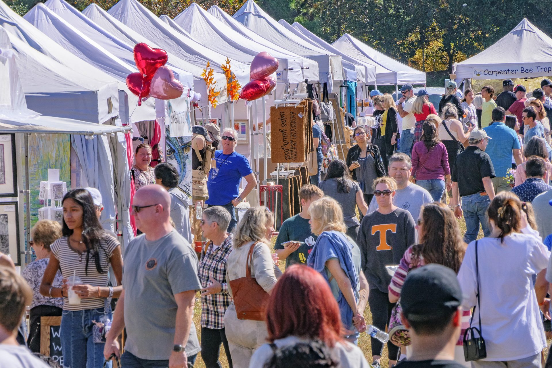 Johns Creek Arts Festival